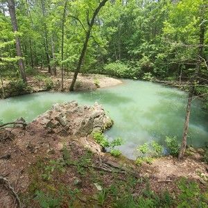 Meet your Posher, Leshonda